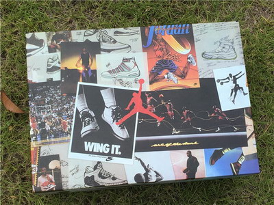 Air Jordan 6 Flight Jacket