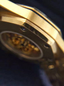 AP Mechanical Watch-021