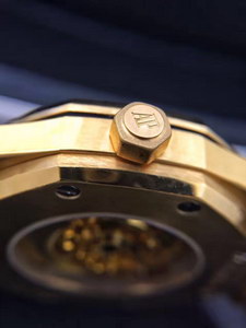 AP Mechanical Watch-021
