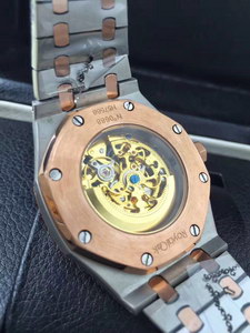 AP Mechanical Watch-017