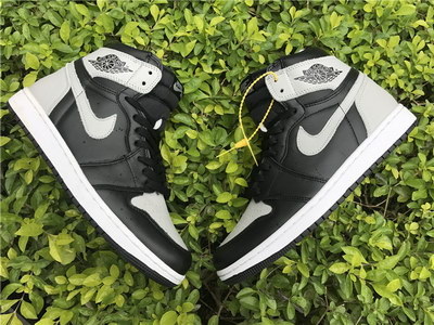 Air jordan 1 Grey