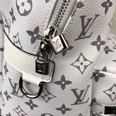 LV Backpack(AAA)-008