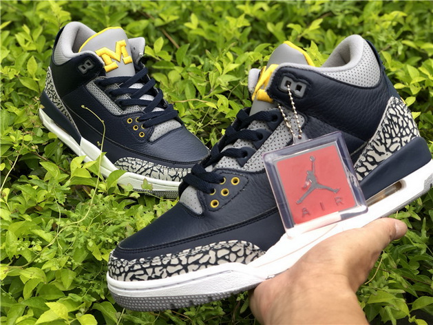 Air Jordan 3 Michigan PE