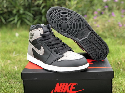 Air Jordan 1 Shadow