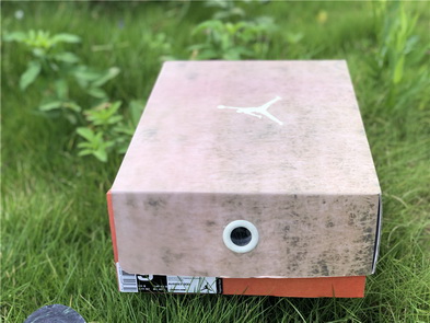 Air Jordan 3 JTH “Bio Beige”