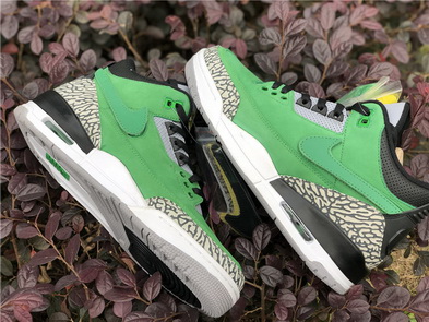 Air Jordan 3s PE Oregon Ducks