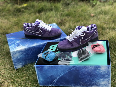 Nike Dunk SB-001