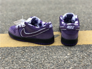 Nike Dunk SB-001