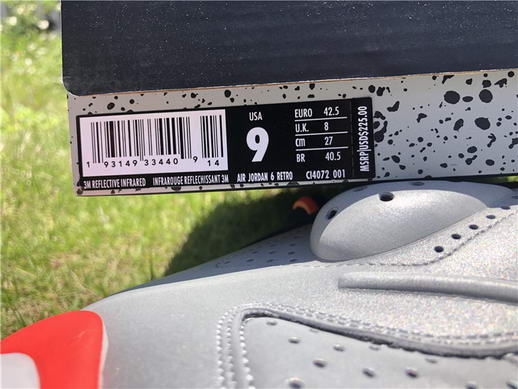 Air Jordan 6“3M Reflective Infrared”