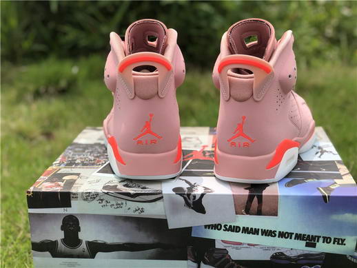Air Jordan 6 “Aleali May”