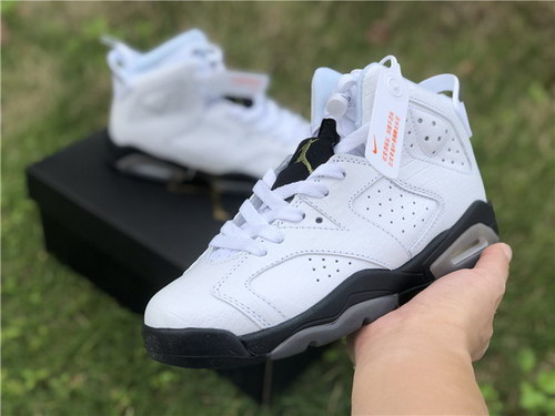 Air Jordan 6 GS “Alligator”