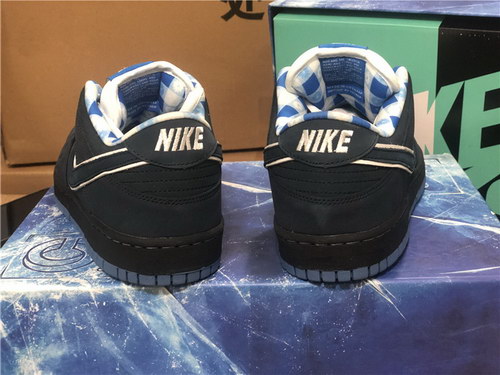 Nike SB Dunk Low-005