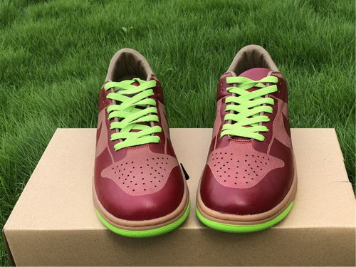 Nike Dunk Low 1 piece laser