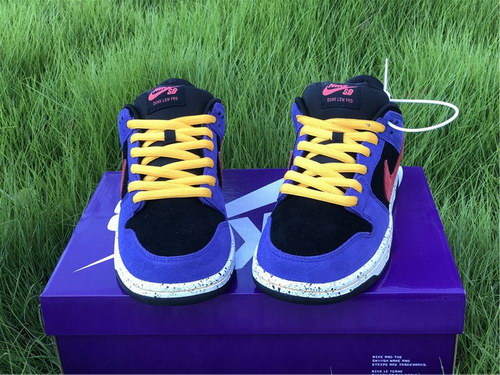 Nike SB Dunk Low “ACG”