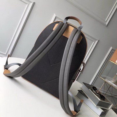 LV Backpack(AAAA)-026