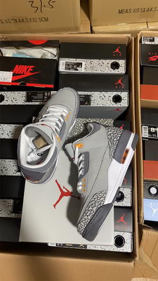 Air Jordan 3``Cool Gray