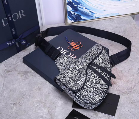 D*or handbags aaaa(men)-005