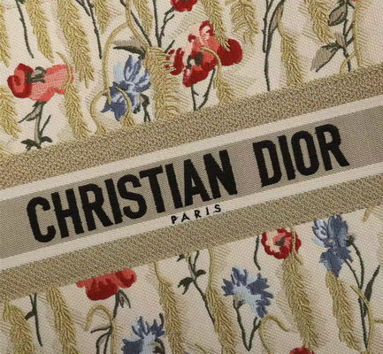 D*or handbags aaaa(women)-083