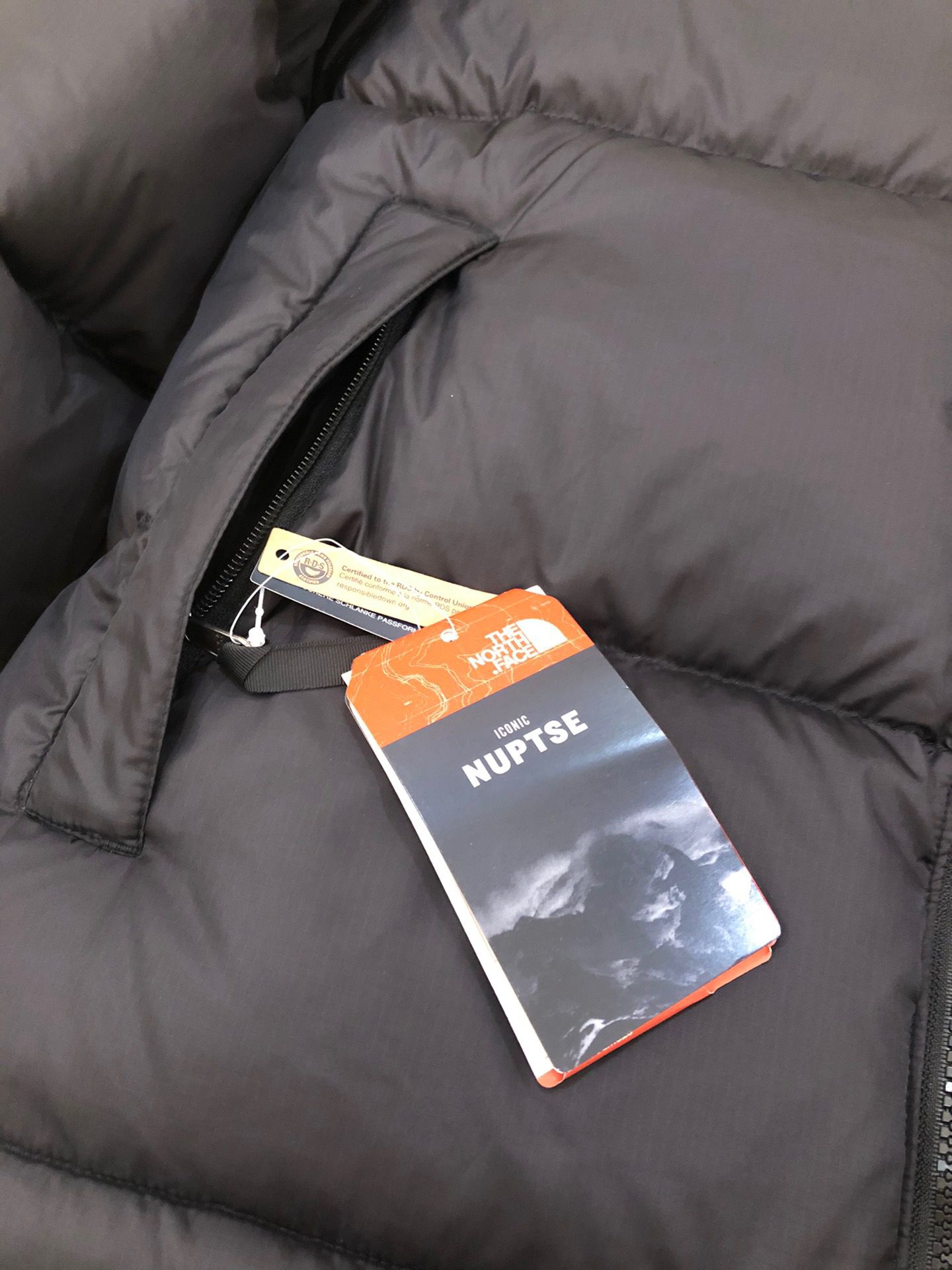 the n0*h F**e coat-032