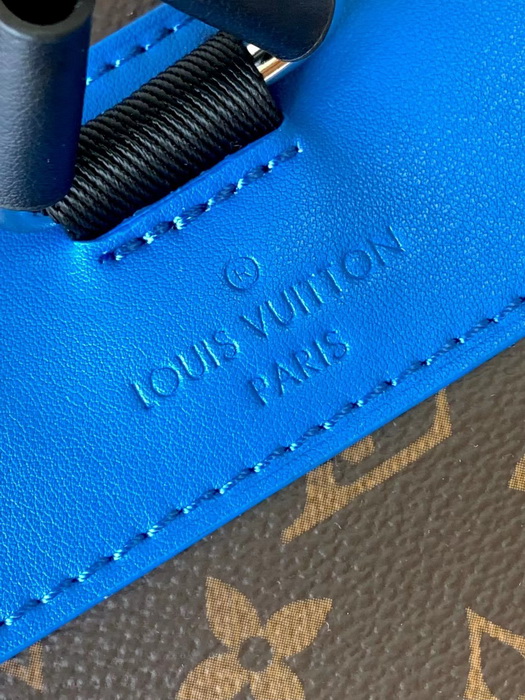 LV Backpack(AAAA)-091