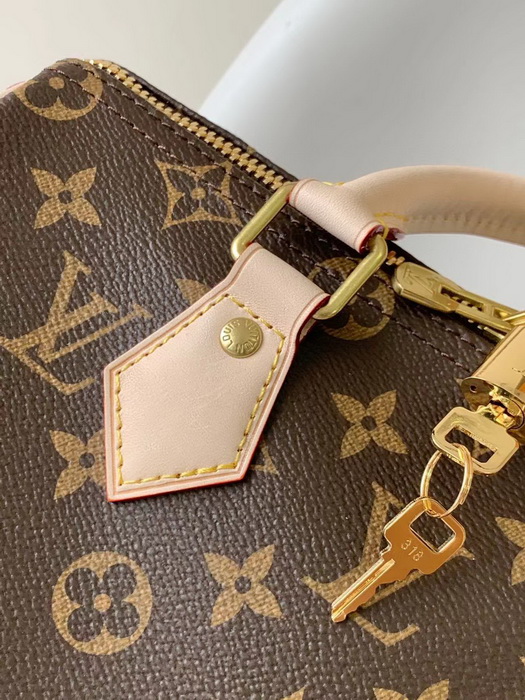 LV Handbags AAAA(Women)-195