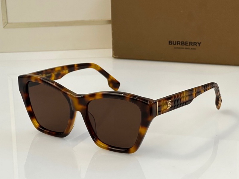B**rry sunglasses(aaaa)-909