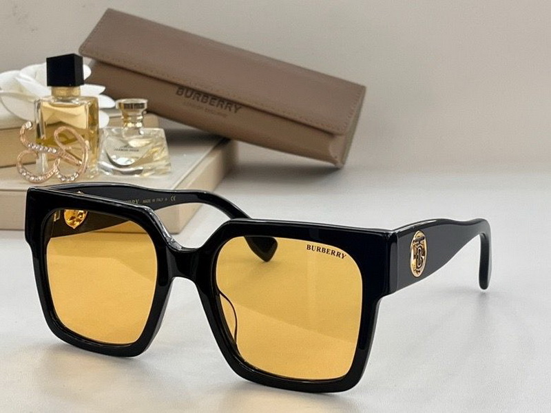 B**rry sunglasses(aaaa)-900