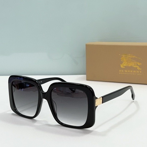 B**rry sunglasses(aaaa)-876