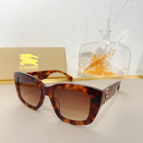 B**rry sunglasses(aaaa)-850