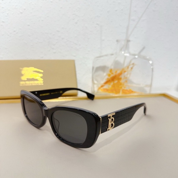 B**rry sunglasses(aaaa)-846