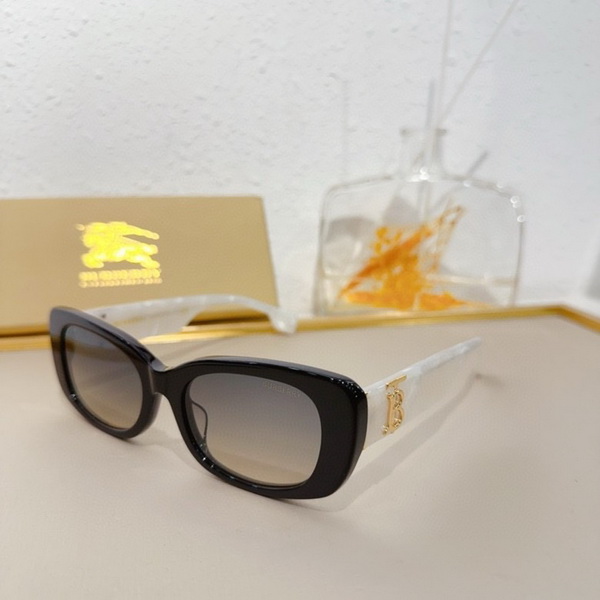 B**rry sunglasses(aaaa)-842