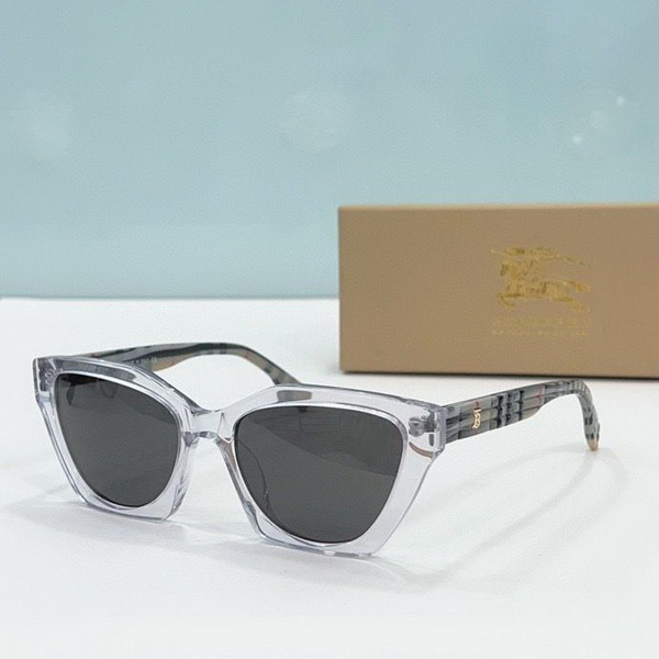 B**rry sunglasses(aaaa)-839