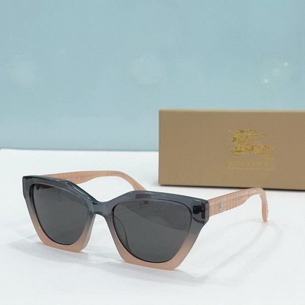 B**rry sunglasses(aaaa)-836