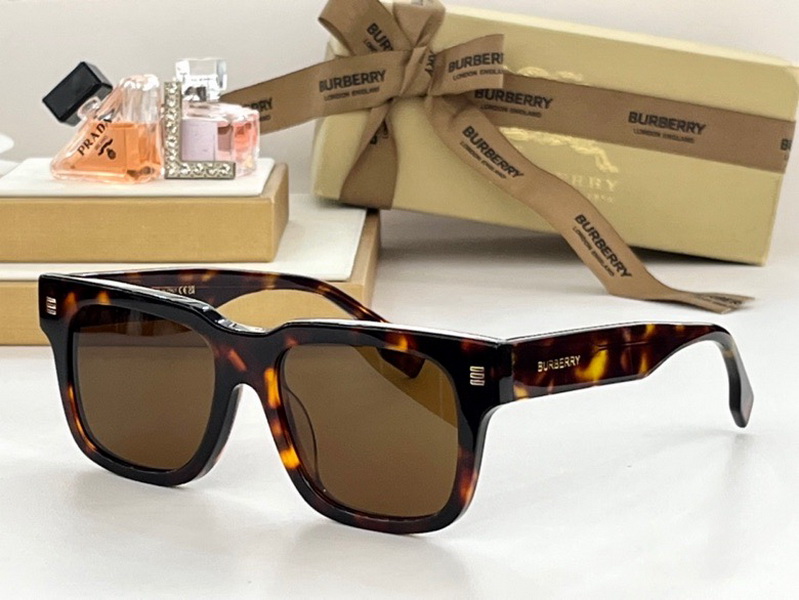 B**rry sunglasses(aaaa)-828