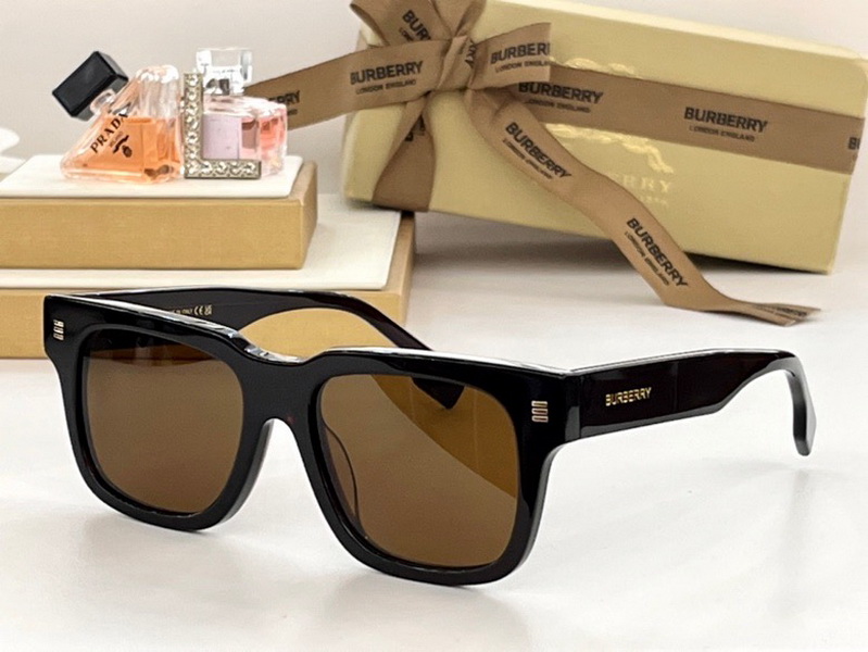 B**rry sunglasses(aaaa)-827
