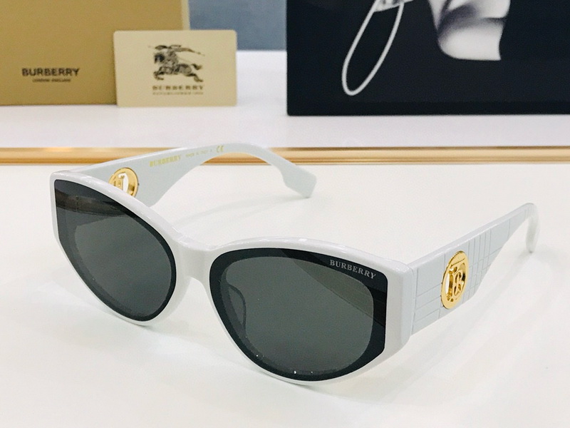 B**rry sunglasses(aaaa)-757