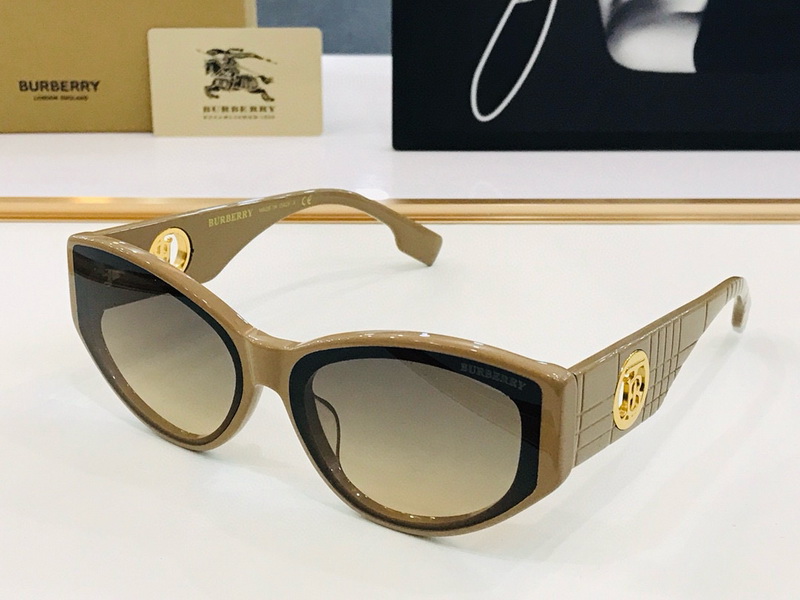 B**rry sunglasses(aaaa)-758