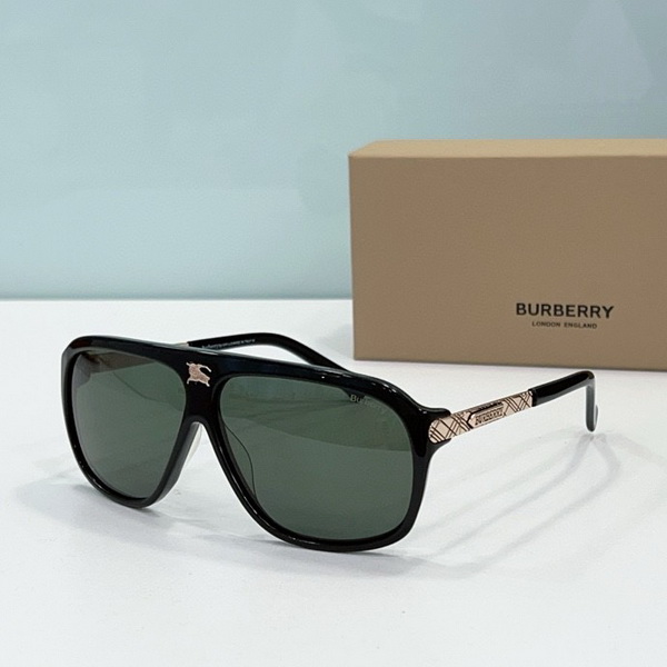 B**rry sunglasses(aaaa)-680