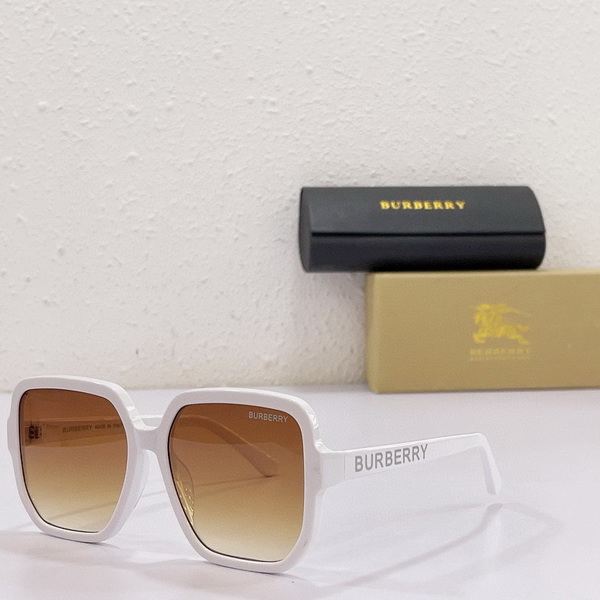 B**rry sunglasses(aaaa)-673