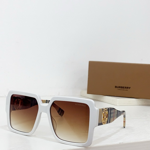 B**rry sunglasses(aaaa)-582