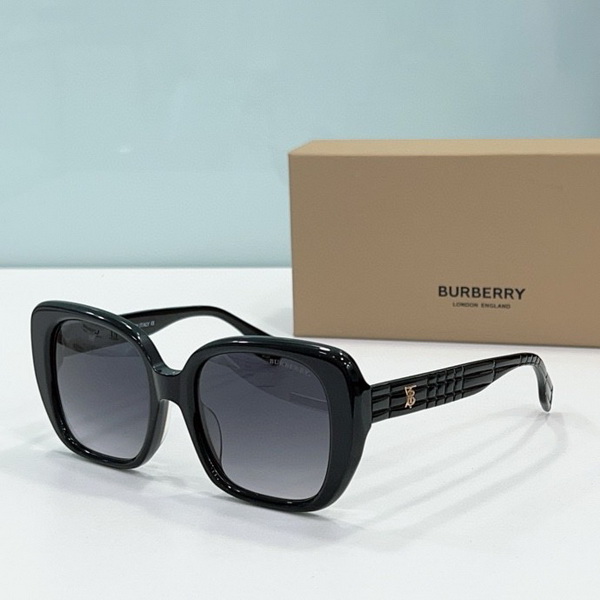 B**rry sunglasses(aaaa)-543