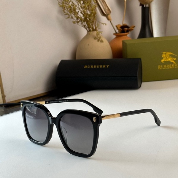 B**rry sunglasses(aaaa)-524
