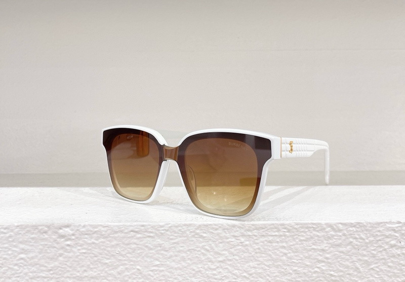 B**rry sunglasses(aaaa)-505