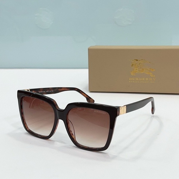 B**rry sunglasses(aaaa)-491