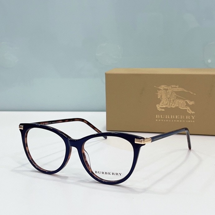 B**rry sunglasses(aaaa)-134