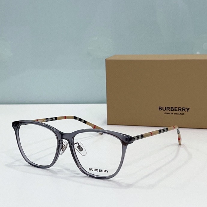 B**rry sunglasses(aaaa)-041