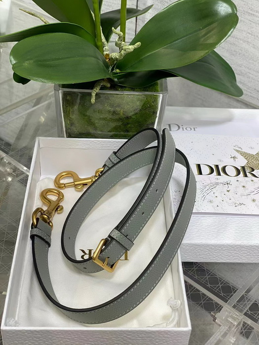 D*or handbags aaaa(women)-120