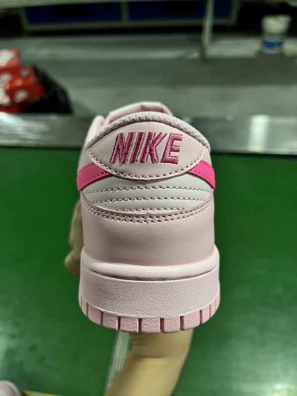 NIKE SB Dunk-030