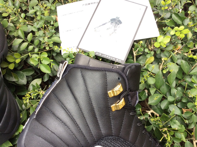 Air Jordan 12 Retro-070