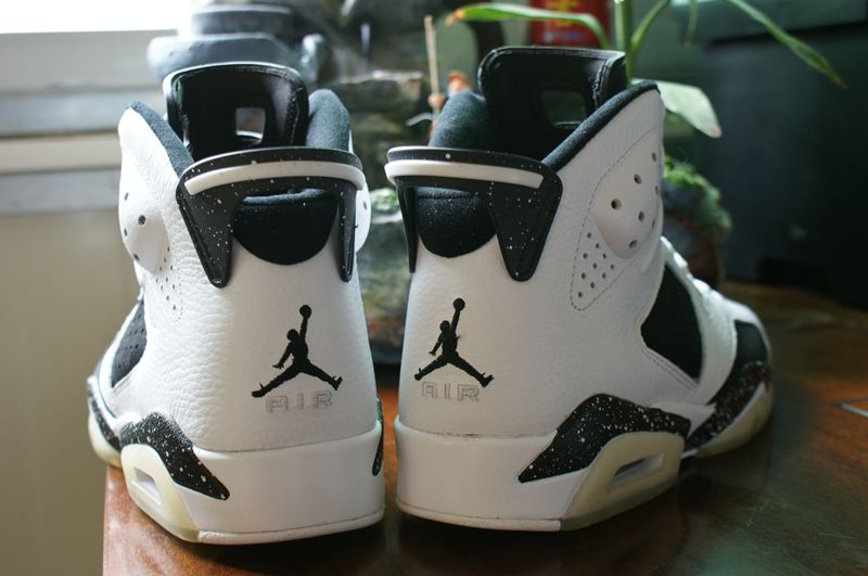 Air Jordan 6 Retro-041